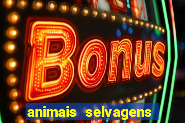 animais selvagens fotos e nomes