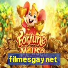 filmesgaynet