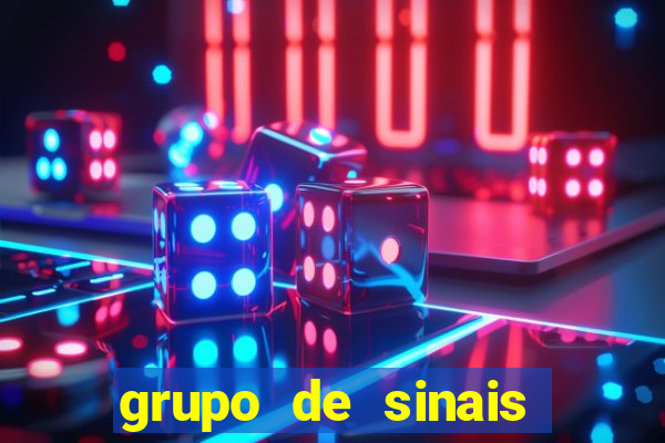 grupo de sinais fortune rabbit