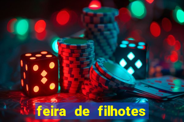 feira de filhotes porto alegre