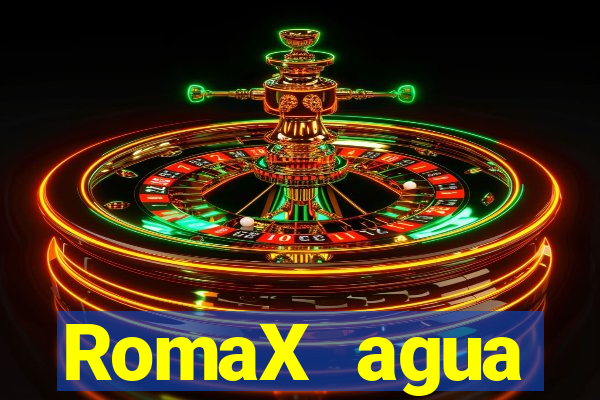 RomaX agua sanitaria fispq agua sanitaria romax