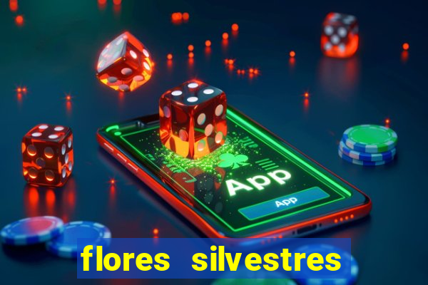 flores silvestres desbravadores desbravadores 25 flores silvestres e seus nomes