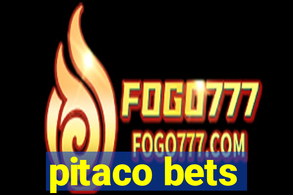 pitaco bets