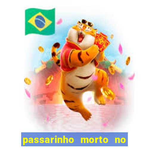 passarinho morto no quintal significado espiritual