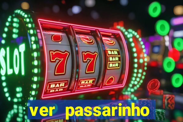 ver passarinho morto significado
